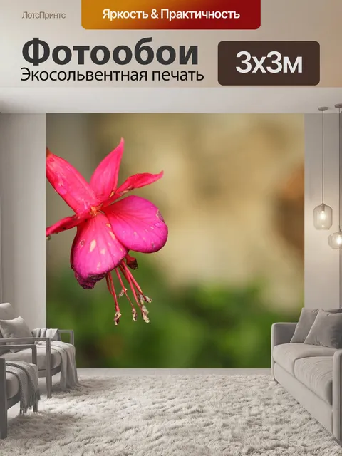 Фотообои Фуксия