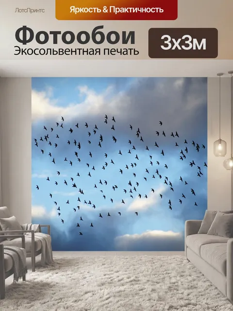 Фотообои Птицы