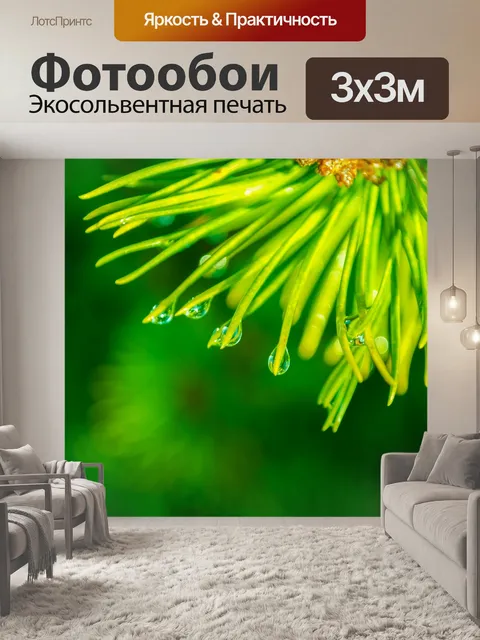 Фотообои Зеленые иглы с каплями воды