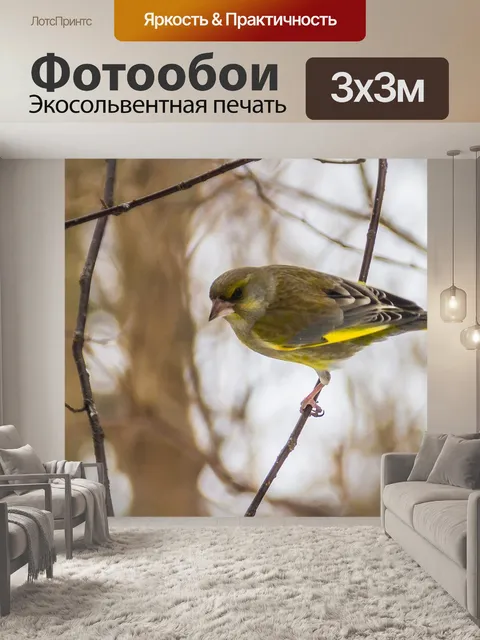 Фотообои Птицы