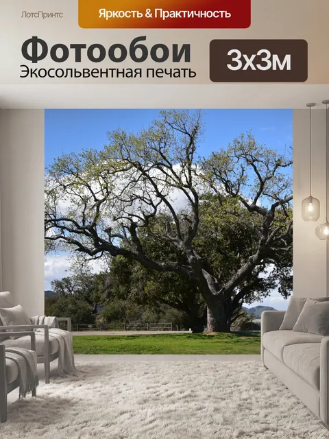 Фотообои Величественное дерево