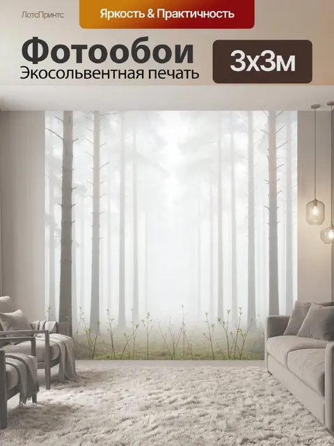 Фотообои Туманный сосновый лес