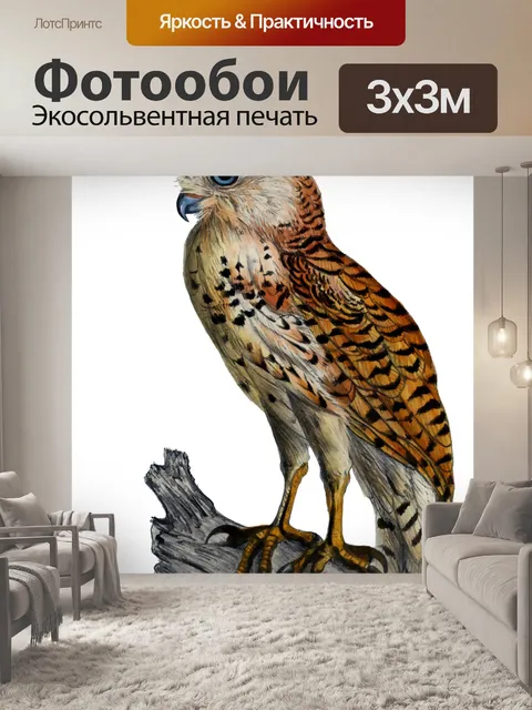 Фотообои Сова, Птица Винтажное Искусство