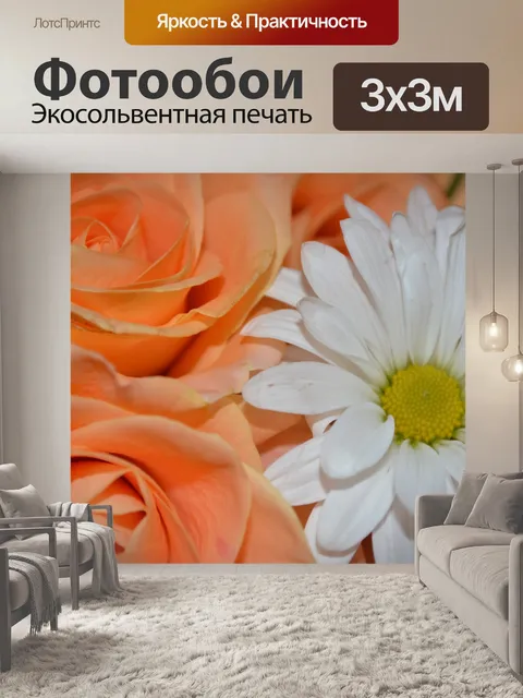 Фотообои Дейзи партии Розы Природа Красочные