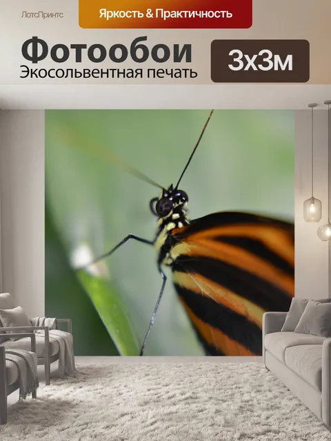 Фотообои Бабочка