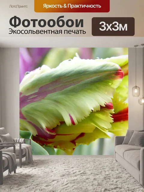 Фотообои Тюльпан