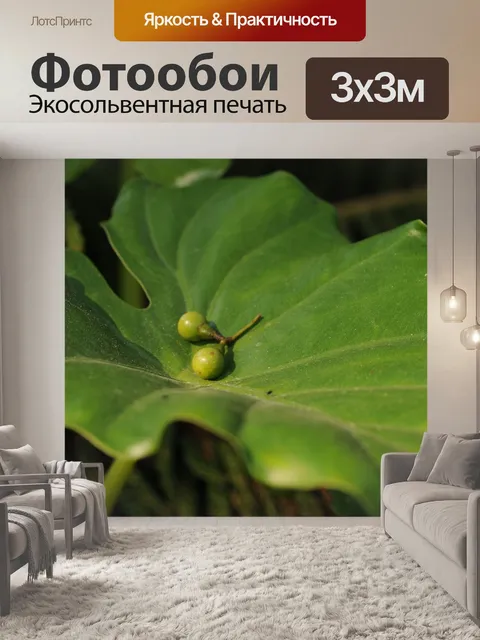Фотообои Листья