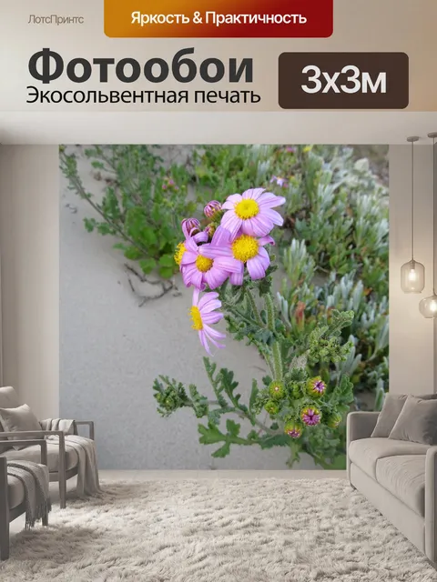 Фотообои Цветок