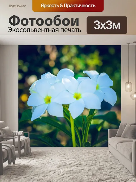 Фотообои Цветы
