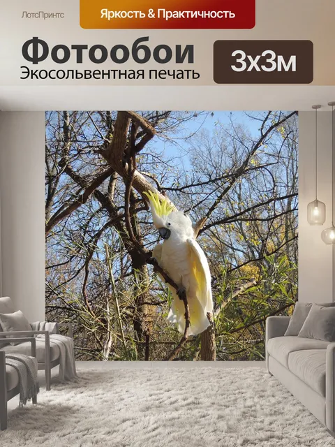 Фотообои Попугай