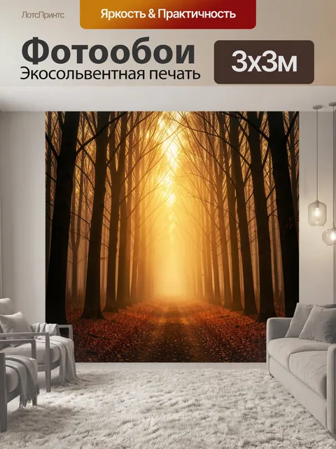 Фотообои Солнечная аллея в осеннем лесу