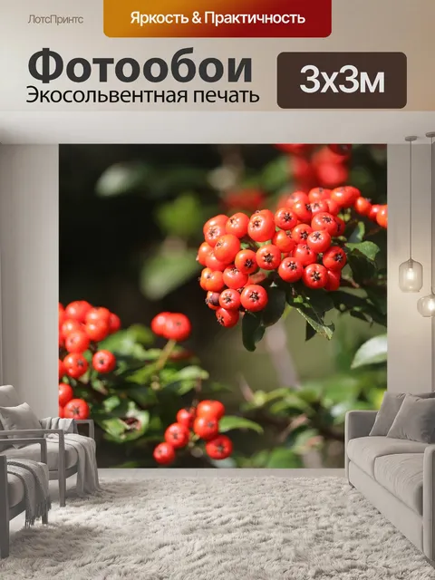 Фотообои Красный
