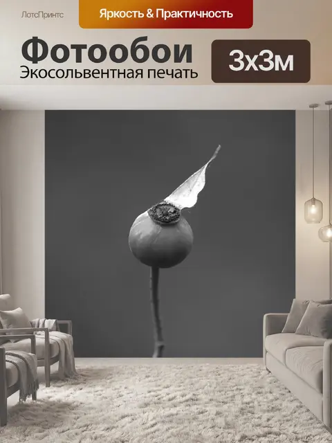 Фотообои Боке