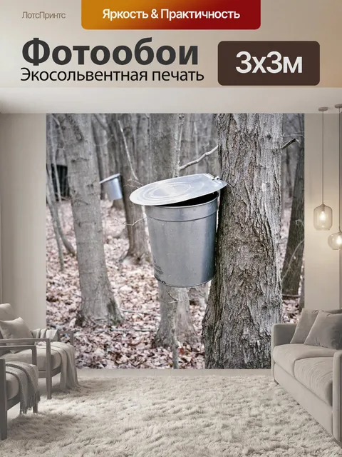 Фотообои Клен
