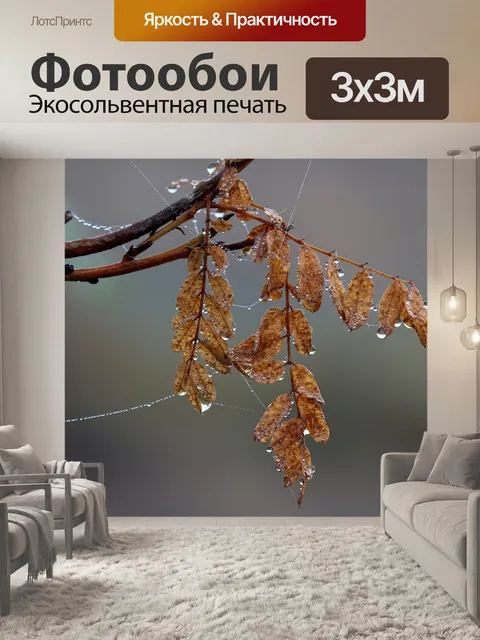 Фотообои Листья