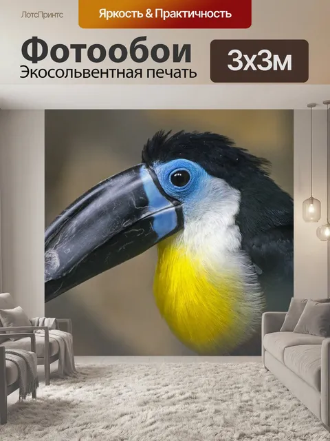 Фотообои Тукан