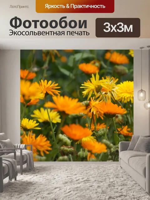 Фотообои Бархатцы сад цветет апельсин
