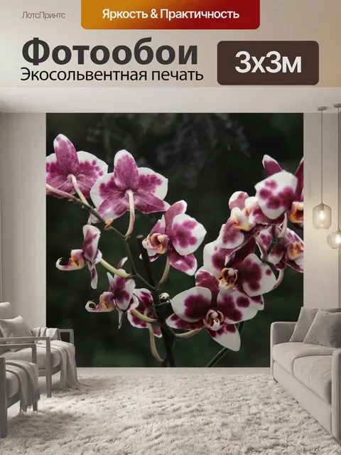 Фотообои Цветы
