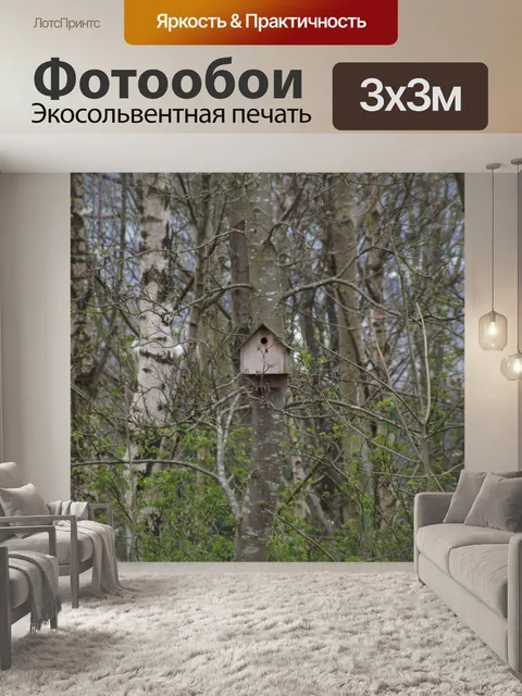 Фотообои Птица дом