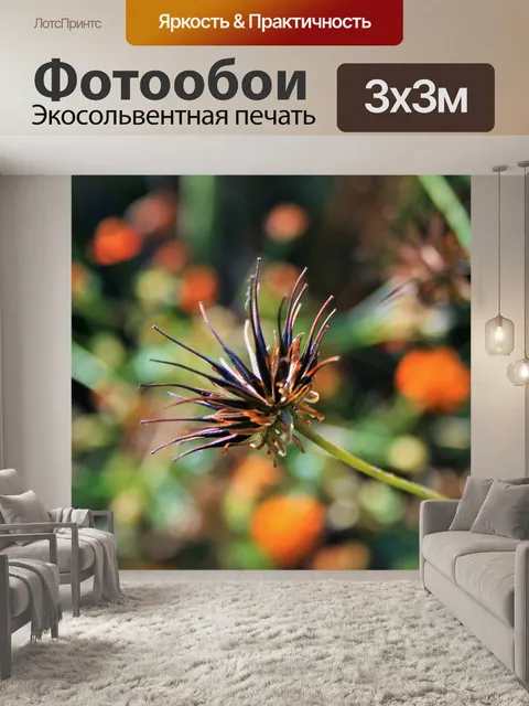 Фотообои Семена желтые космоса