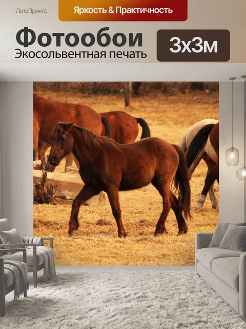 Фотообои лошади вокруг водного корыта