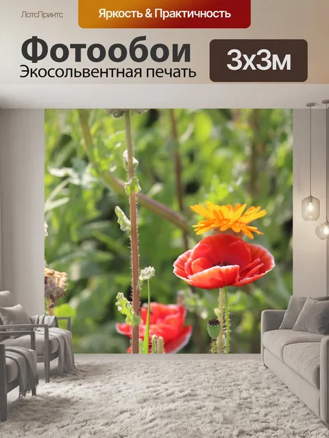 Фотообои Цветы