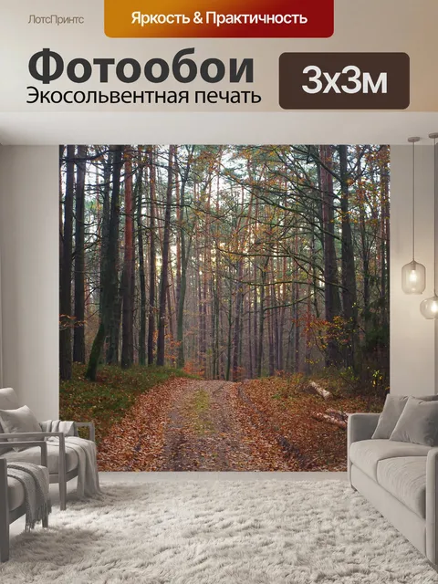 Фотообои Лес