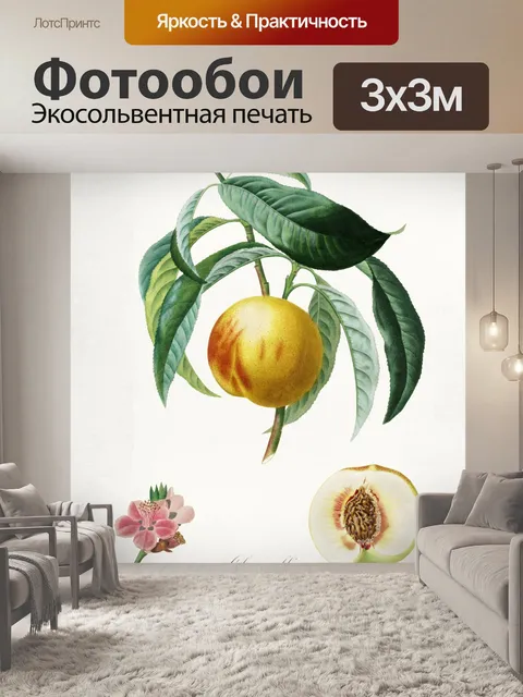 Фотообои Персиковый фрукт винтажное искусство