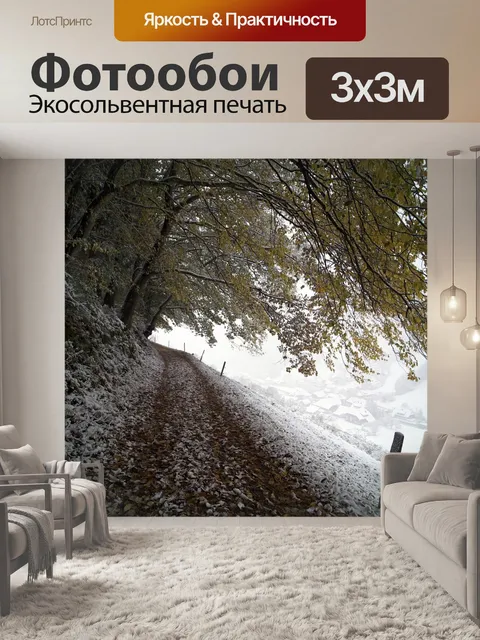 Фотообои Дорога