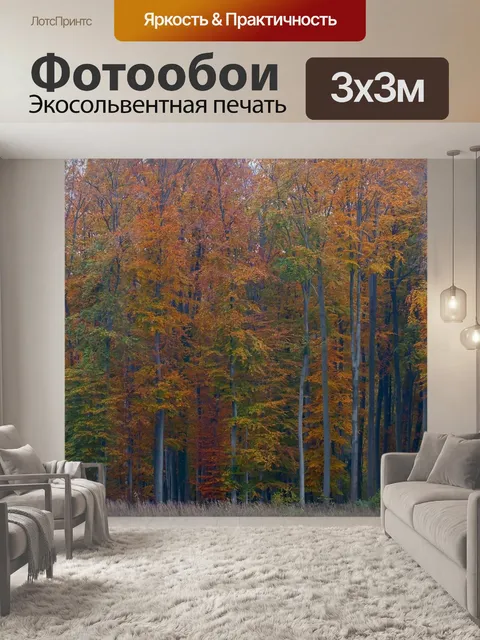 Фотообои Деревья