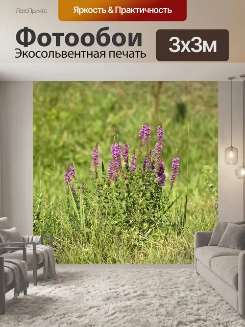 Фотообои Цветок