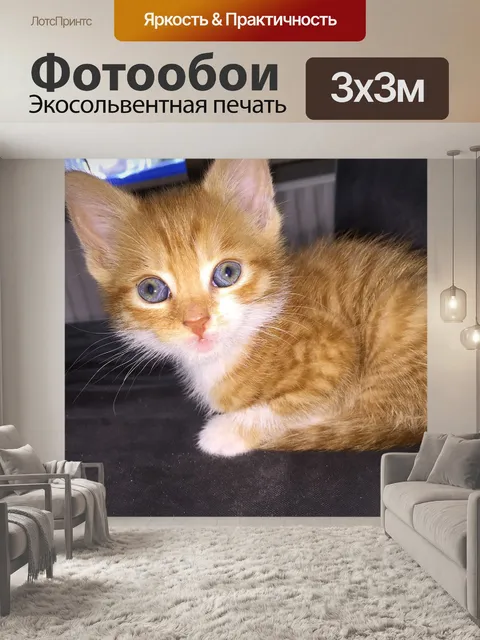Фотообои Кошки