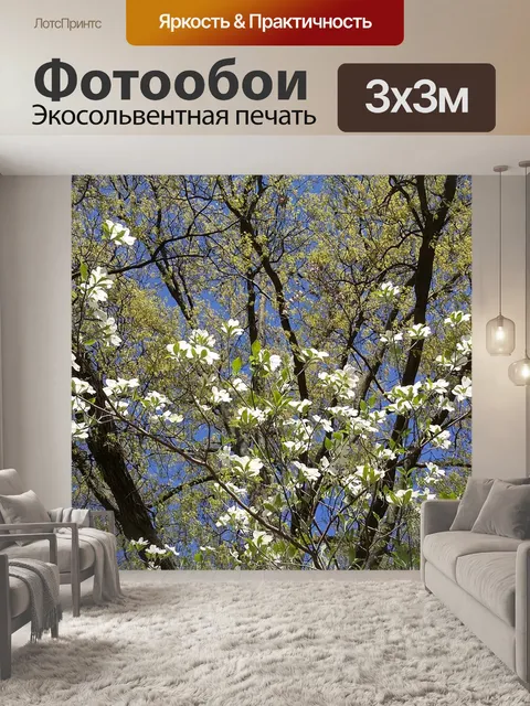 Фотообои Дерево