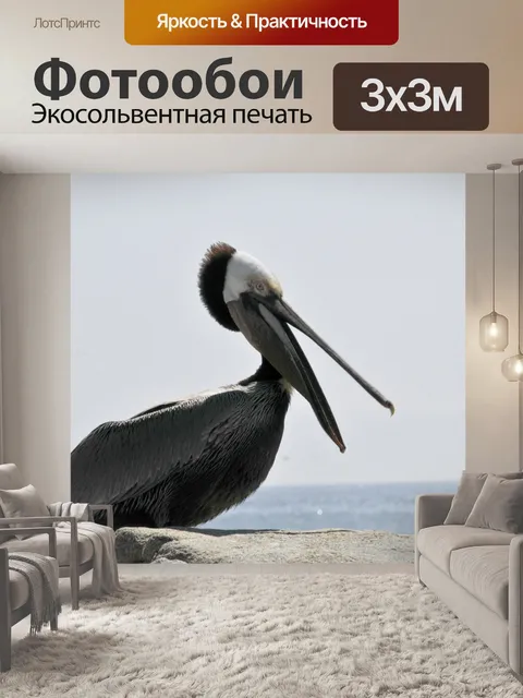Фотообои Пеликан
