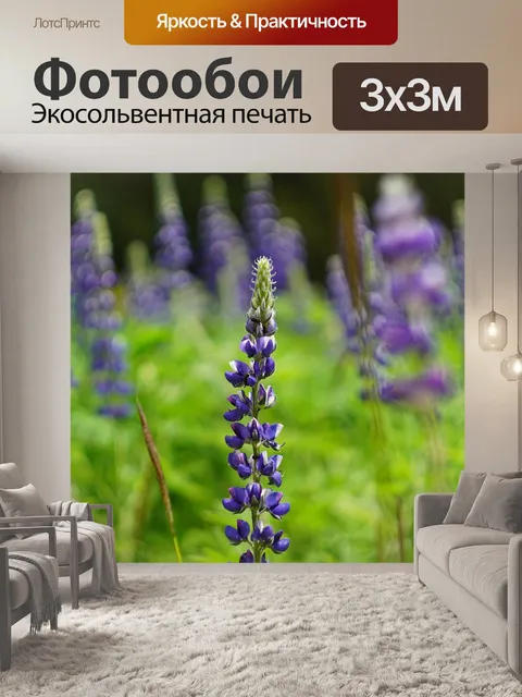 Фотообои Цветок