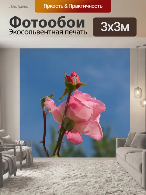 Фотообои Розы