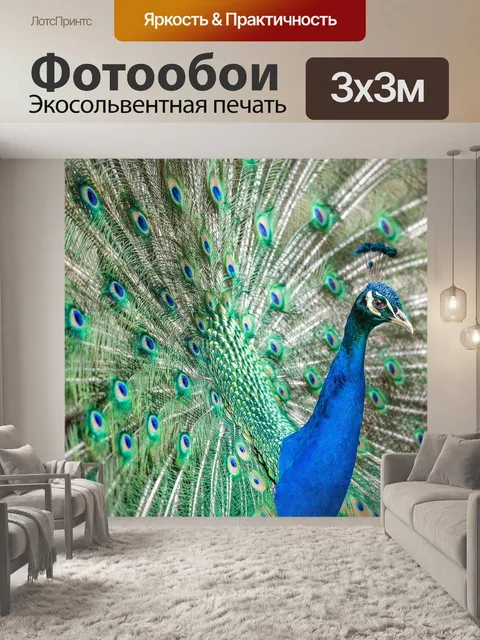 Фотообои Птица