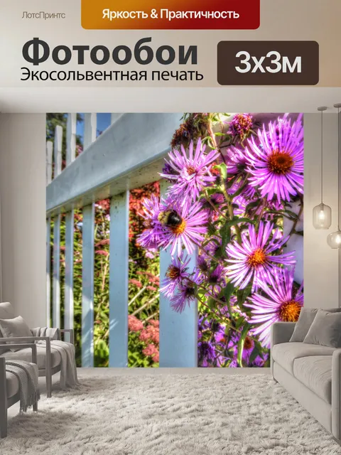 Фотообои Цветы Астры