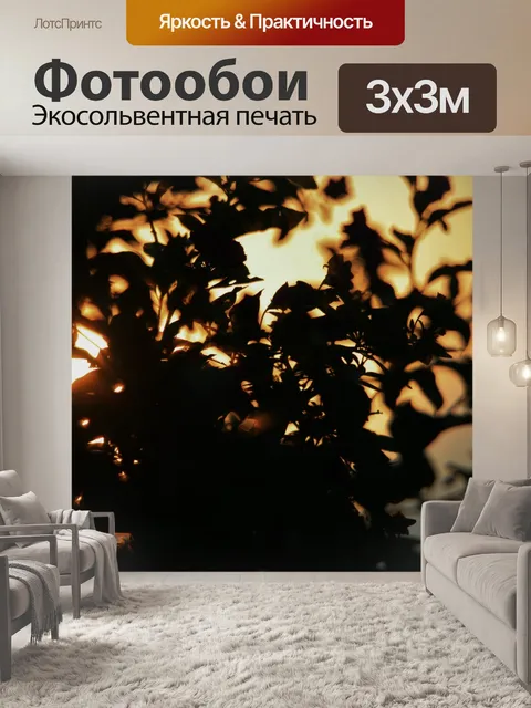 Фотообои закат через листву