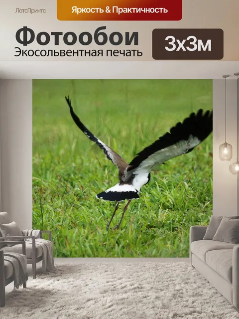 Фотообои Природа