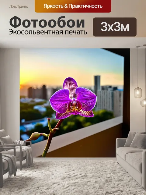 Фотообои орхидея, стоящая на балконе с видом на город, с закатными оттенками неба