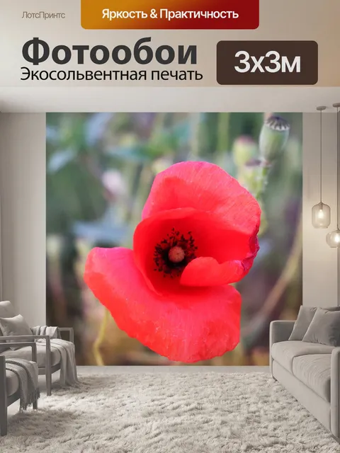 Фотообои Мак