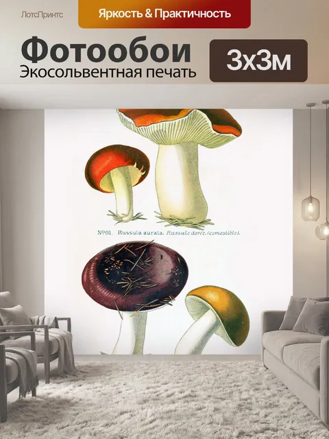 Фотообои Грибы винтаж арт старый