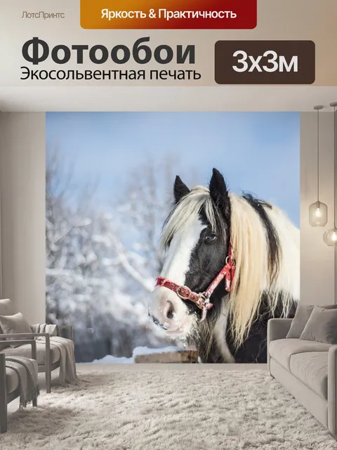 Фотообои Лошадь