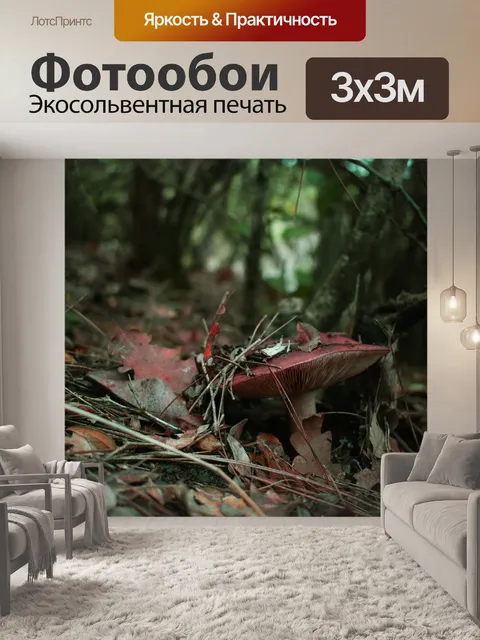Фотообои Гриб