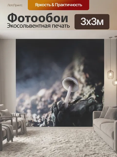Фотообои Гриб