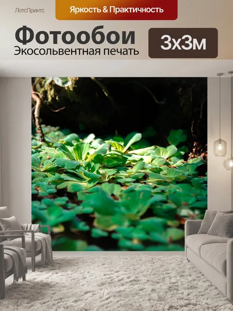 Фотообои Дерево