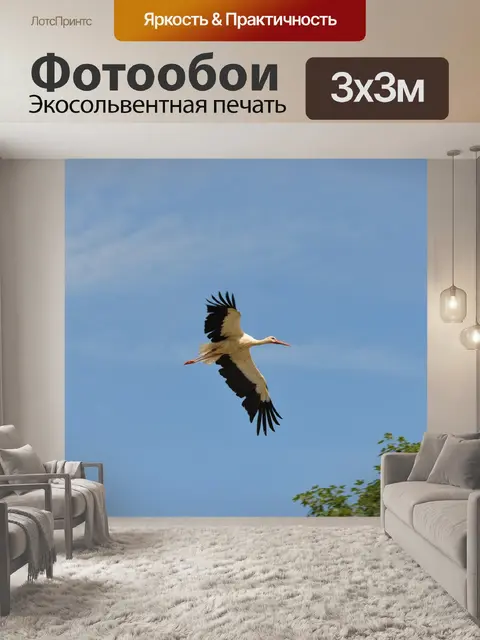 Фотообои Аист