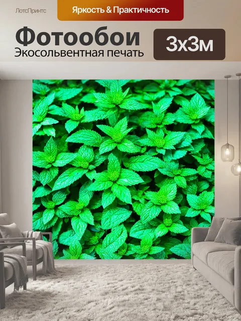 Фотообои на переднем плане растут пышные мятные кусты