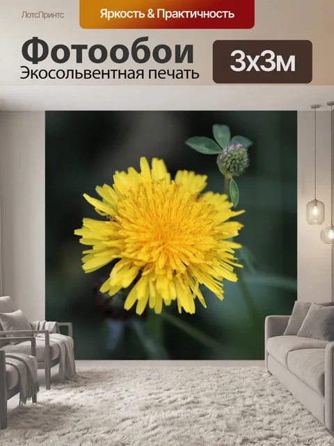 Фотообои Одуванчик